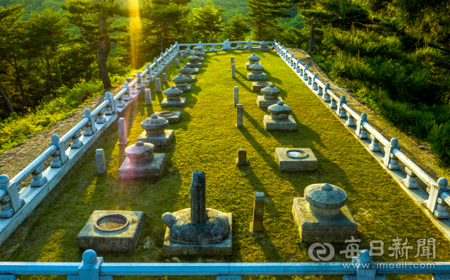단종 태실을 비롯해 세종 아들 태실 18기(문종 태실은 예천 명봉사에 조성)가 조성된 경북 성주 세종대왕자태실. 세종 둘째 아들 수양대군이 조카 단종을 내몰고 왕권을 찬탈하는 과정에 안평·금성대군(오른쪽 줄)과 영풍·한남·화의군(왼쪽 줄) 등 다섯 동생의 목숨을 빼앗고 태실을 파헤쳐 기단석만 남아있다. 오른쪽 맨 앞 수양대군(세조) 태실 앞 비석은 그가 등극하면서 세운 태봉비다. 김태형 선임 기자 thk@imaeil.com