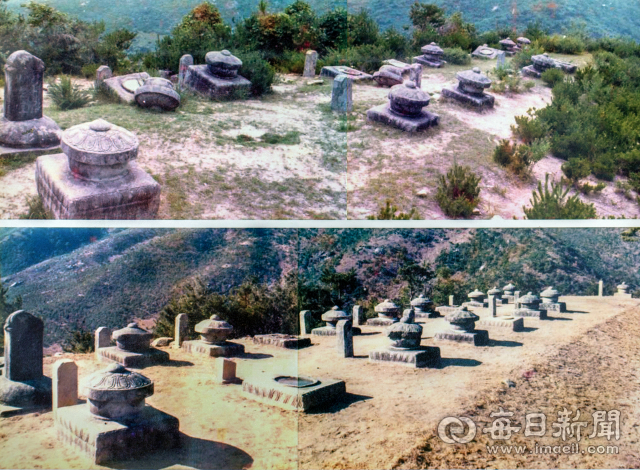 1977년 세종대왕자태실 복원 직전 모습(위)과 복원 직후 모습. 계유정난 등으로 훼손된 태실 5기의 일부 석물은 사라져 기단석만 남았다. 사진=성주 문화유산해설사 곽차순 제공