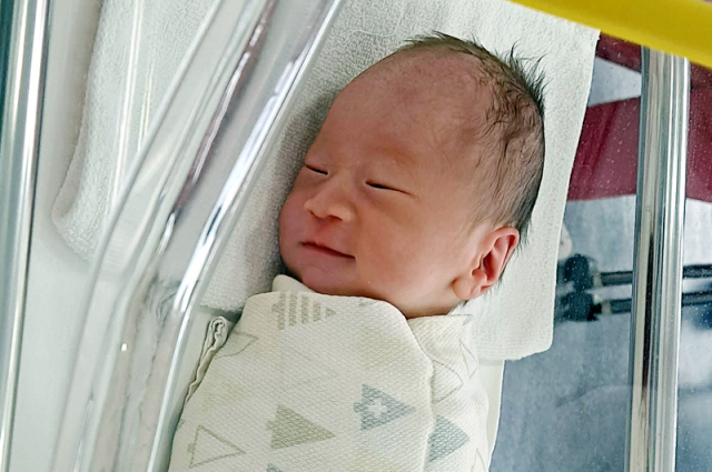 박정하아가