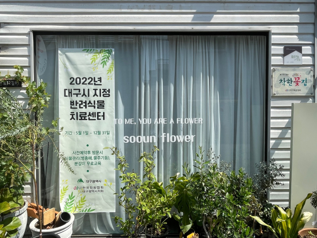대구 반려식물 치료센터. 대구시 제공