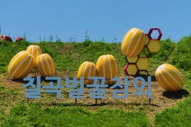 칠곡군 제공