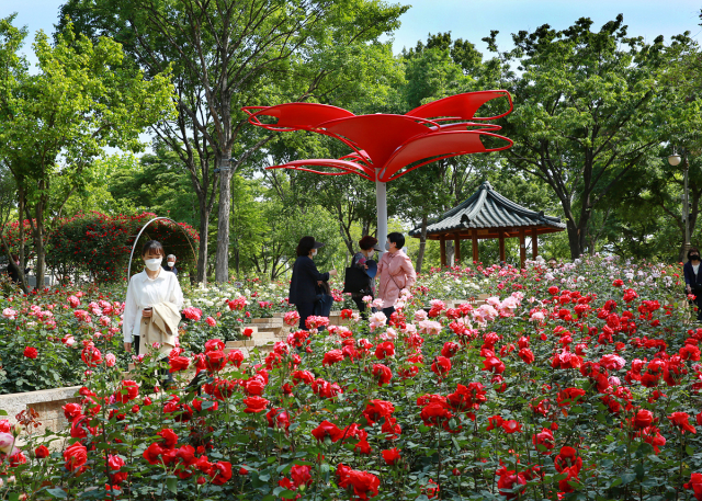 대구시는 