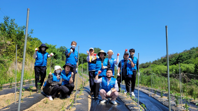 환동해산업연구원 농촌 일손돕기