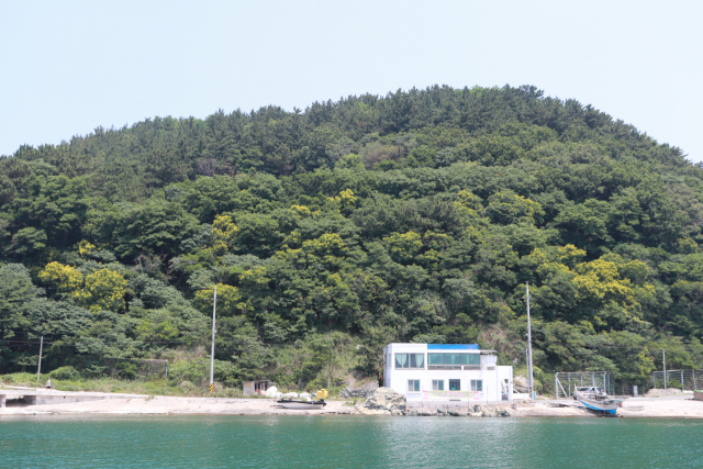 포항시 발산리 천연기념물 모감주나무 군락
