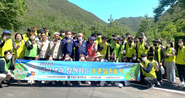 농협 안동시지부와 안동대 학생들이 농촌일손돕기에 나섰다. 농협 안동시지부 제공