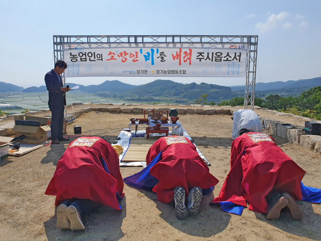 3일 경북 포항시 남구 장기면 장기읍성에서 장기면과 장기농업협동조합, 이장협의회, 자생단체 관계자들이 긴 가뭄을 끝내줄 비가 내리기를 기원하는 기우제를 지내고 있다. 연합뉴스