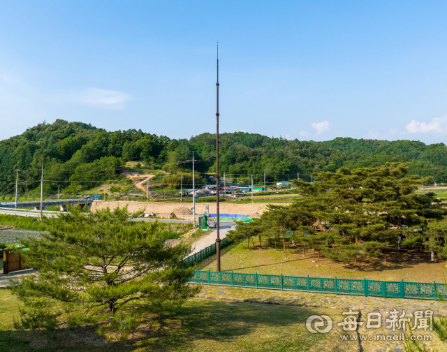 석송령 가지가 낙뢰를 맞아 몇차례 부러지자 피뢰침을 세웠다. 왼쪽 작은 나무는 석송령 2세 후계목으로 1996년 종자를 받아 키운 뒤 두 그루를 2002년 이곳에 옮겨 심었다. 김태형 선임기자 thk@imaeil.com