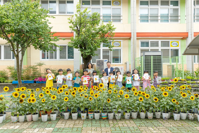 경북 청송 진보초 학생들이 직접 키운 해바라기 화분이 최근 만개했다. 진보초 제공