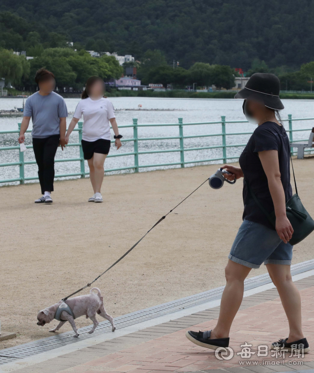 30일 대구 수성못에서 한 시민이 반려견과 산책을 하고 있다. 매일신문DB
