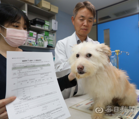 반려동물 인기에 너도나도 꿈꾸는 '수의사'…내년 수의대 정시 선발은?