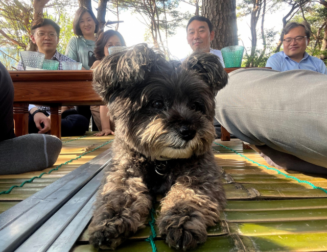 이수진 더불어민주당 국회의원 페이스북
