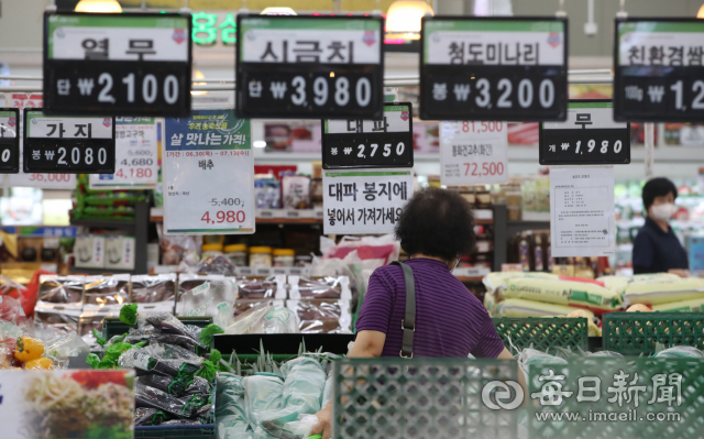 5일 대구 달서구 하나로마트 성서점에서 시민들이 장을 보고 있다. 이날 통계청 발표에 따르면 6월 소비자물가지수가 작년 동월 대비 6.0% 올랐다고 밝혔다. 이는 외환위기 이후 24년 만에 가장 높은 수치다. 안성완 기자 asw0727@imaeil.com