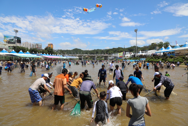 봉화 은어축제 모습. 경북도 제공