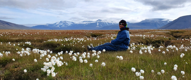 롱이어비엔의 7월은 솜사탕 같은 참황새풀(commom cottongrass)의 하얀 뭉치의 꽃이 군락을 이뤄 만년설과 장관을 연출하고 있다.