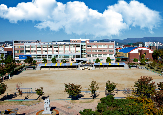 서부초 전경. 대구시교육청 제공