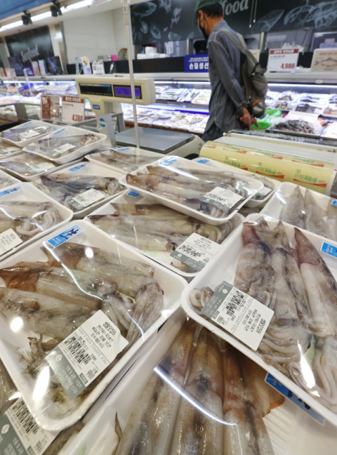 밥상물가 상승 잇따라… 건멸치·물오징어도 30% ↑