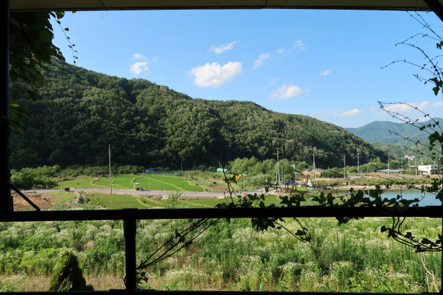 카페 주변이 산으로 둘러싸여 있어 자연 경관이 빼어나다.