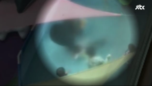 경기 김포시의 한 국공립 어린이집 교사가 물놀이를 하던 중 아이들을 잡아 물속으로 넘어뜨리는 것으로 의심되는 행동이 포착돼 경찰이 수사에 나섰다. JTBC 방송화면 캡처