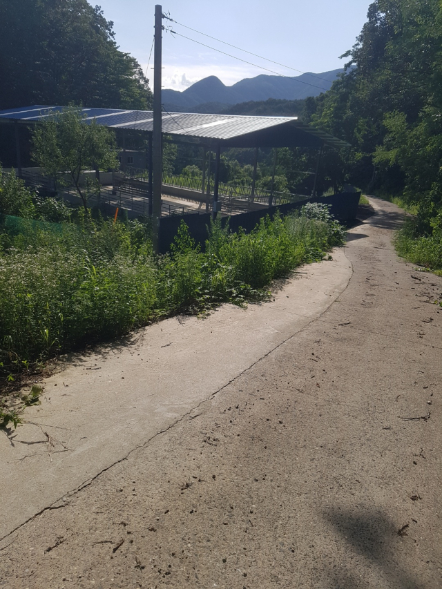경북 성주군이 당초 금수면 봉두리 안새출 마을에 농로 정비공사를 하기로 했지만, 실제 공사는 금수면 후평리 말미 농로 정비공사를 했다. 사진은 말미 농로 정비공사 현장. 전병용 기자
