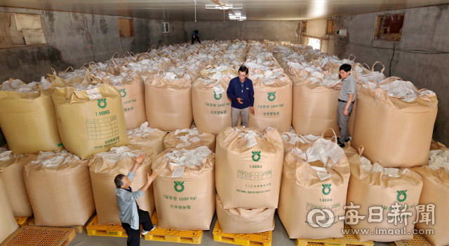 17일 경북 포항시 북구 청하면 신포항농협 보관창고에 벼를 담은 1t짜리 톤백이 산더미처럼 쌓여 있다. 오호태 대구경북농협 미곡종합처리장(RPC)운영협의회장(남포항농협 조합장·가운데)은 