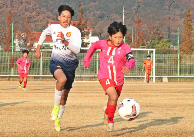 화랑대기 전국 유소년축구대회 모습. 경주시 제공