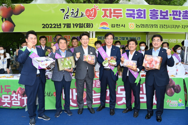 경북 김천시는 지난 19일 국회도서관 앞 공원에서 지역을 대표하는 농산물 자두(포모사) 홍보·판촉 행사를 열었다. 김천시 제공