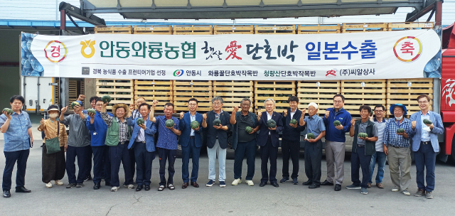 안동 단호박이 올해 첫 일본 수출길에 올랐다. 안동시 제공