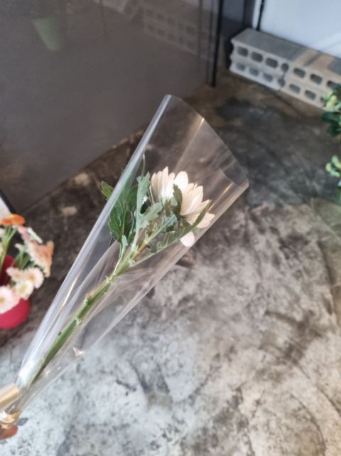 인하대 인근 한 꽃집이 최근 캠퍼스 안에서 사망한 여학생의 빈소를 찾아오는 추모객들에게 국화꽃을 무료로 나눠준다는 소식이 전해졌다. 트위터 캡처