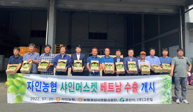 자인농업협동조합은 20일 경산에서 생산된 샤인머스켓을 베트남으로 수출했다.