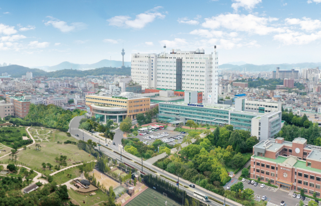 영남대병원 전경. 영남대병원 제공