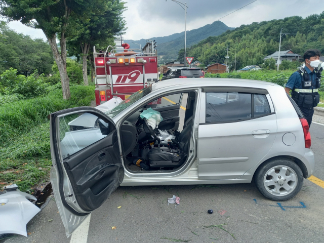 경북 성주군 벽진면 도로에서 가로수를 들이 받은 차량. 성주소방서 제공