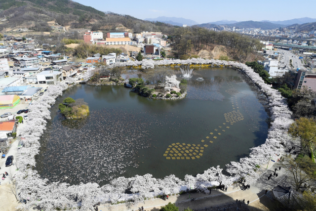 김천연화지 모습. 김천시 제공