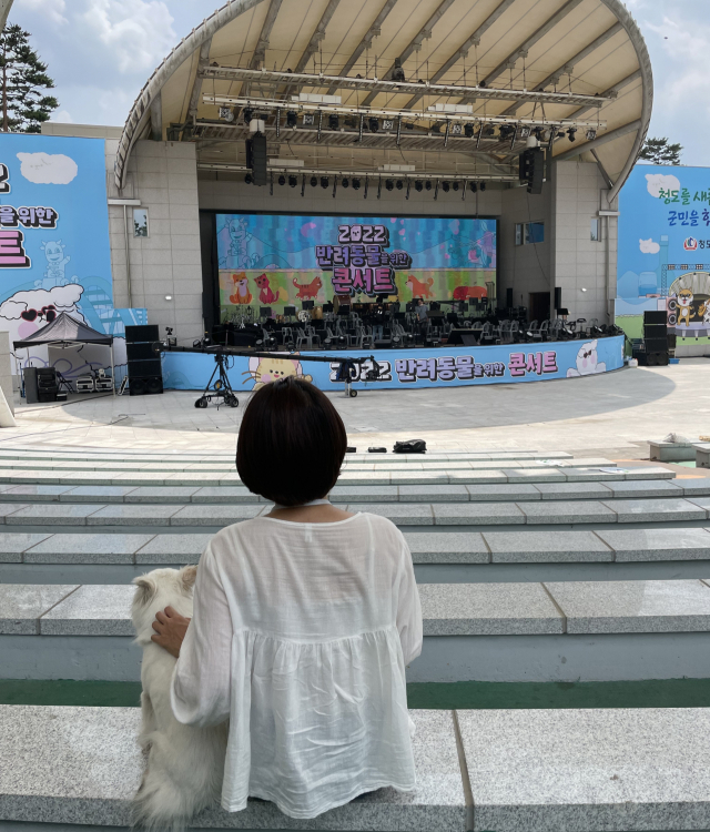 기자가 반려견과 함께 청도 반려동물을 위한 콘서트를 기다리고 있다.