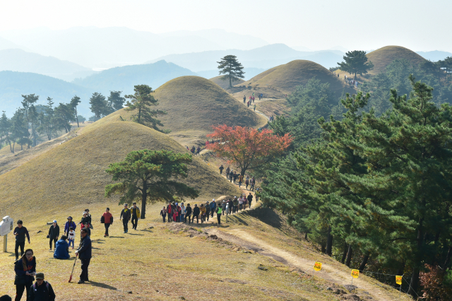 세계세계유산등재를 앞둔 고령 지산동 고분군 활용콘텐츠 연구 최종 보고회가 열렸다. 고령군 제공.