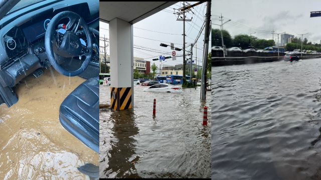 인천에 폭우가 쏟아지면서 지하 차도가 물에 잠기고 가로수가 쓰러지는 등 피해가 잇따르고 있다. SNS 캡처