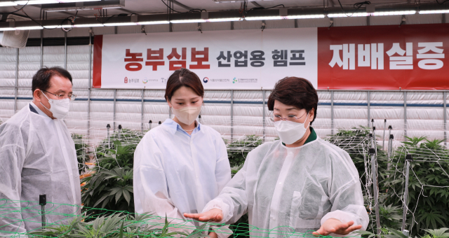 이달희 경북도 경제부지사는 9일 안동포문화공원과 경북바이오산업연구원을 방문해 산업용 헴프(HEMP) 재배 현장과 생산된 헴프 원물을 활용한 CBD(칸나비디올) 추출·정제 시설을 둘러봤다. 경북도 제공