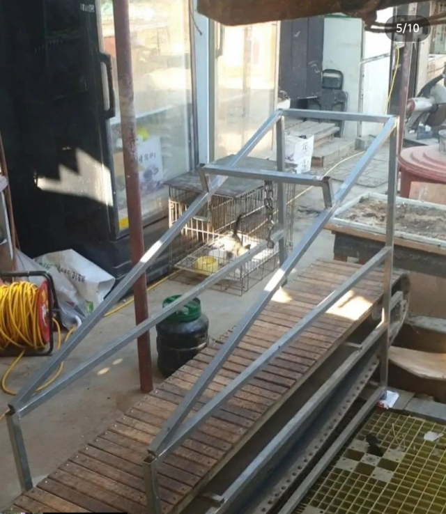 대구 수성구 매호동에 있는 투견 훈련장에서 발견된 러닝머신. 동물보호단체 