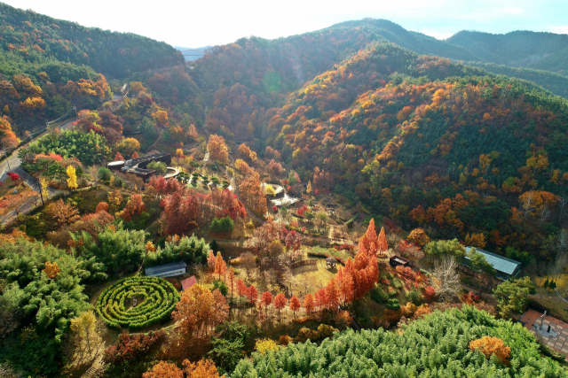 대가야수목원.