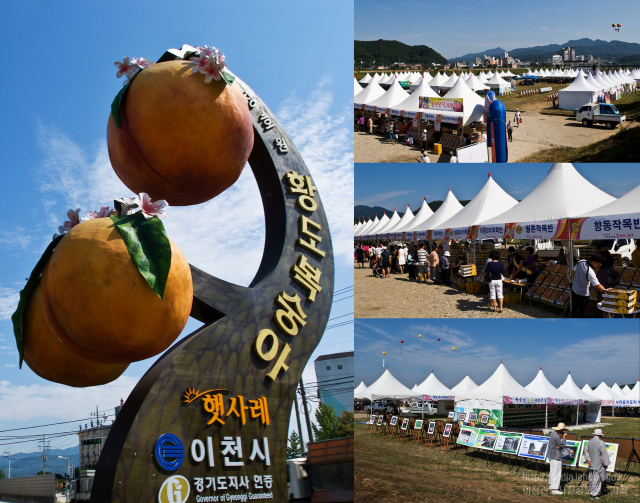 이천 장호원 복숭아 조형물 및 축제