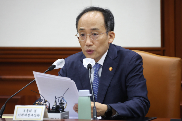 추경호 경제부총리 겸 기획재정부 장관이 19일 정부서울청사에서 열린 제229차 대외경제장관회의 및 대외경제협력기금운용위원회에서 발언하고 있다. 연합뉴스