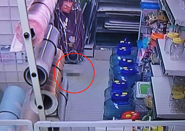 A씨가 확인한 CCTV(폐쇄회로)에 담긴 사진/왼쪽 아래 매장 바닥에는 대소변으로 보이는 물체가 있다. 사진=보배드림