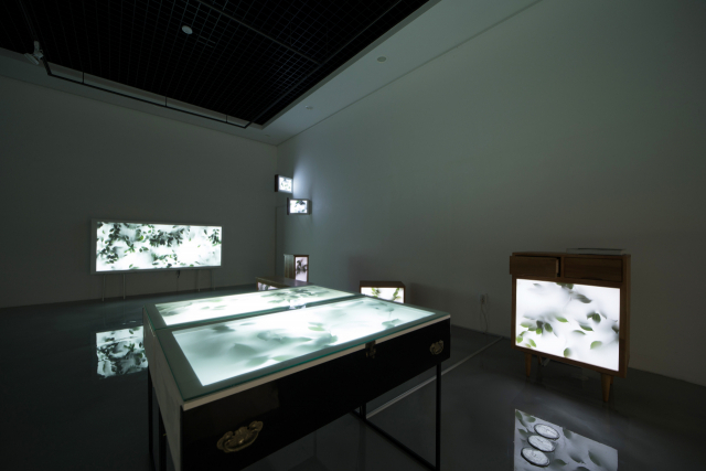 김유정, 재생_숨, collected furniture lightbox, artificial plants, fabric, dimensions variable, 2020, 2021, 2022.