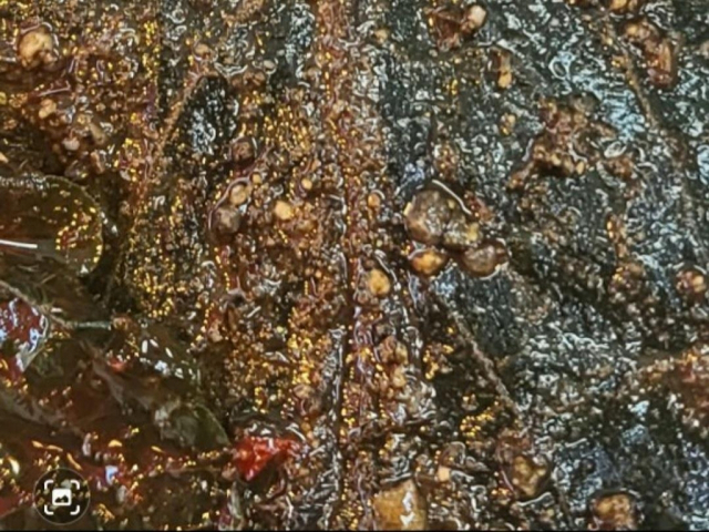 제보자가 촬영한 모래 범벅 중국산 깻잎. 깻잎 위의 양념같은 가루들이 모두 모래라고 한다. 제보자 A씨 제공. 연합뉴스