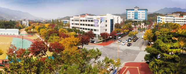 구미대학교 전경. 구미대 제공