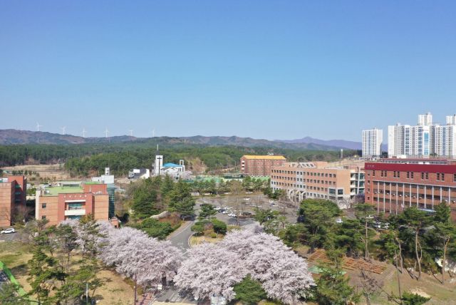 선린대 전경. 매일신문 DB
