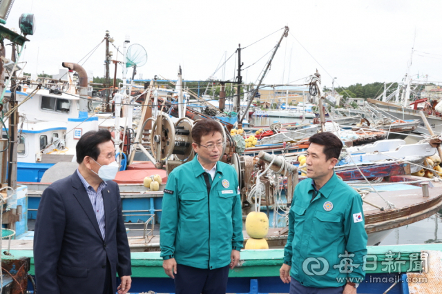 이철우 경북도지사(가운데)와 이강덕 포항시장(오른쪽)이 5일 포항 동빈내항을 찾아 피항한 선박들의 재난대비테세를 점검하고 있다. 포항시 제공