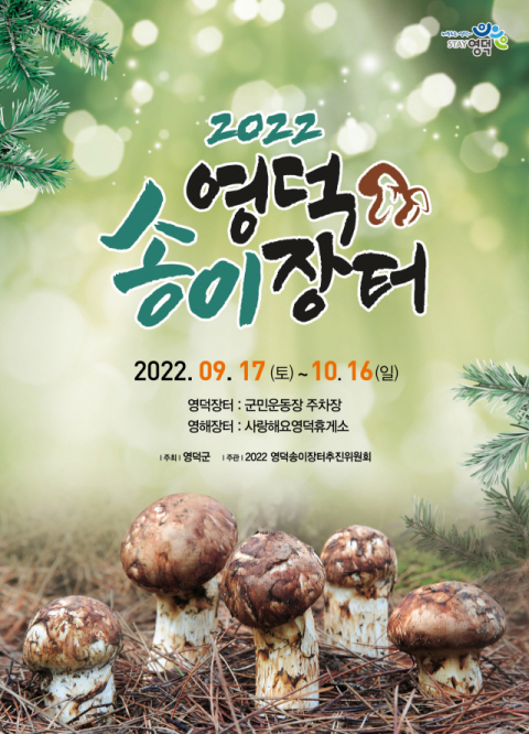 '영덕 송이장터' 2곳서 한달 간 열린다
