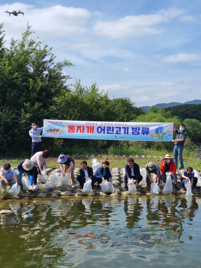 경북 구미시는 선산읍 독동리 낙동강 우안 구미보 인근 지점에서 동자개 어린 물고기 6만2천 마리를 방류하는 행사를 가졌다. 구미시 제공