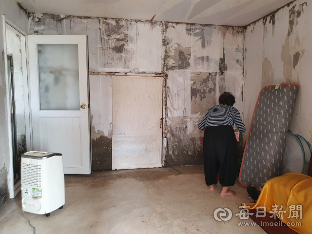 포항시 남구 장기면의 한 이재민이 태풍 