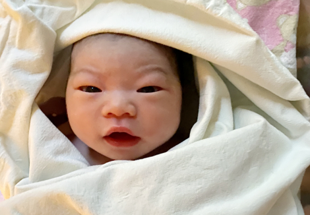 한솔 산모 아기